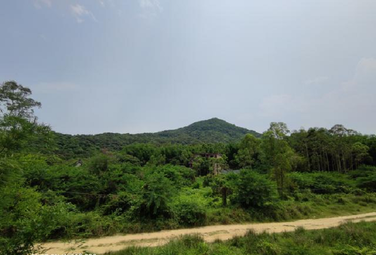 黄埔油麻山
