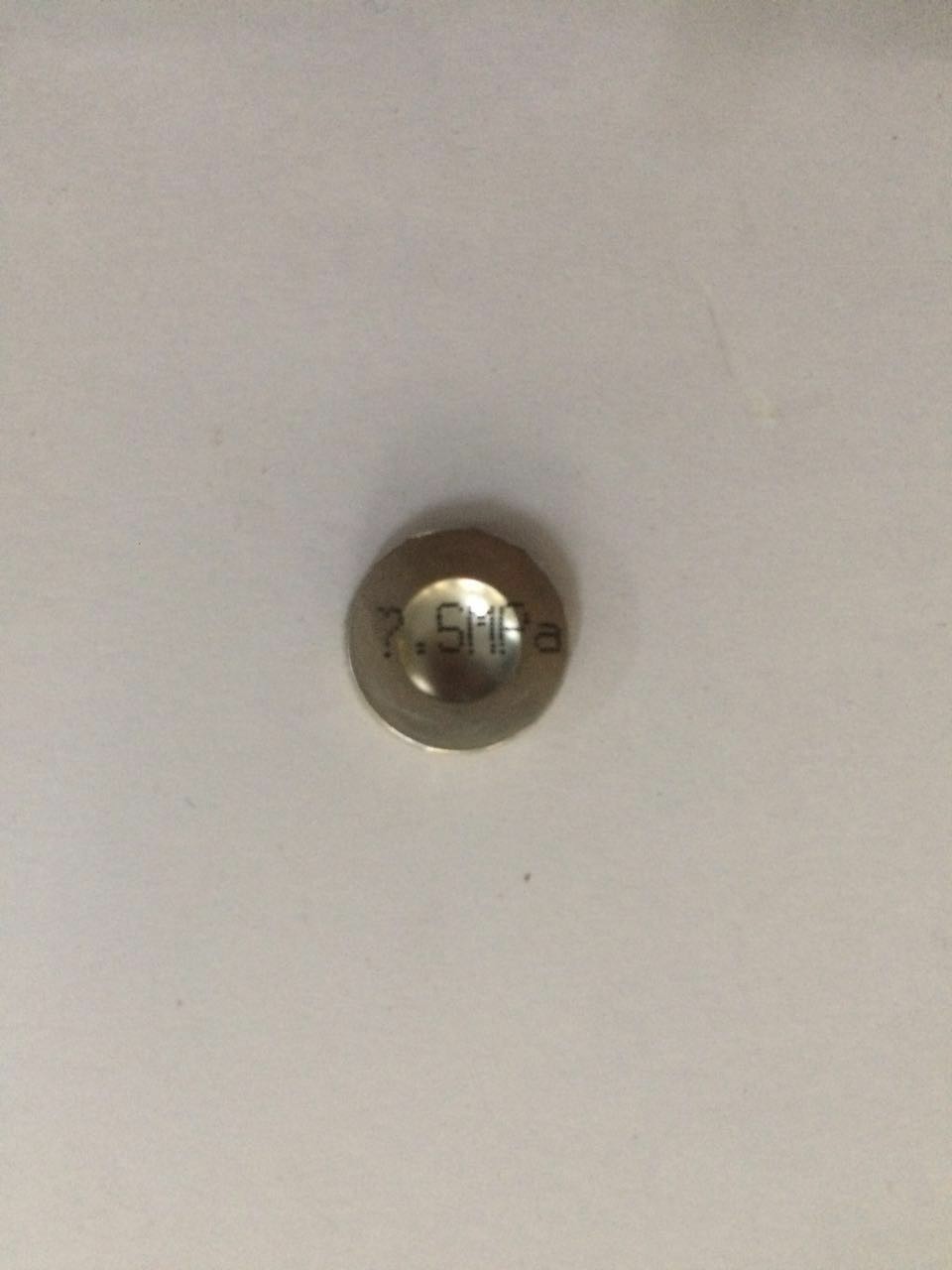 diaphragm