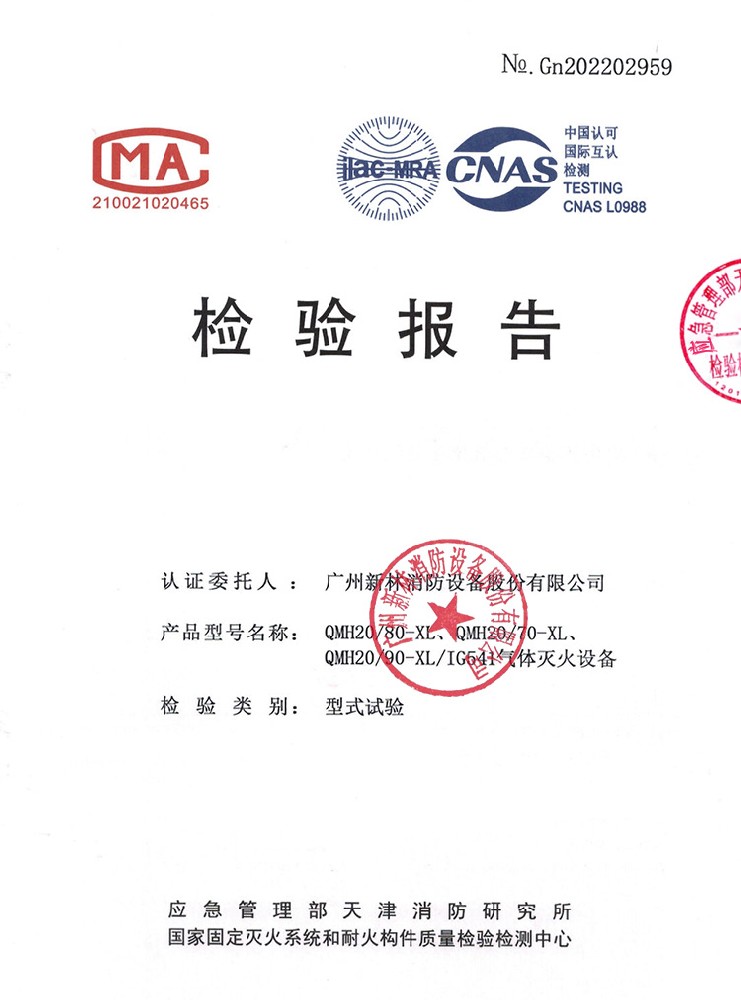 IG541/20MPa Gas Fire Extinguishing System Inspection Report