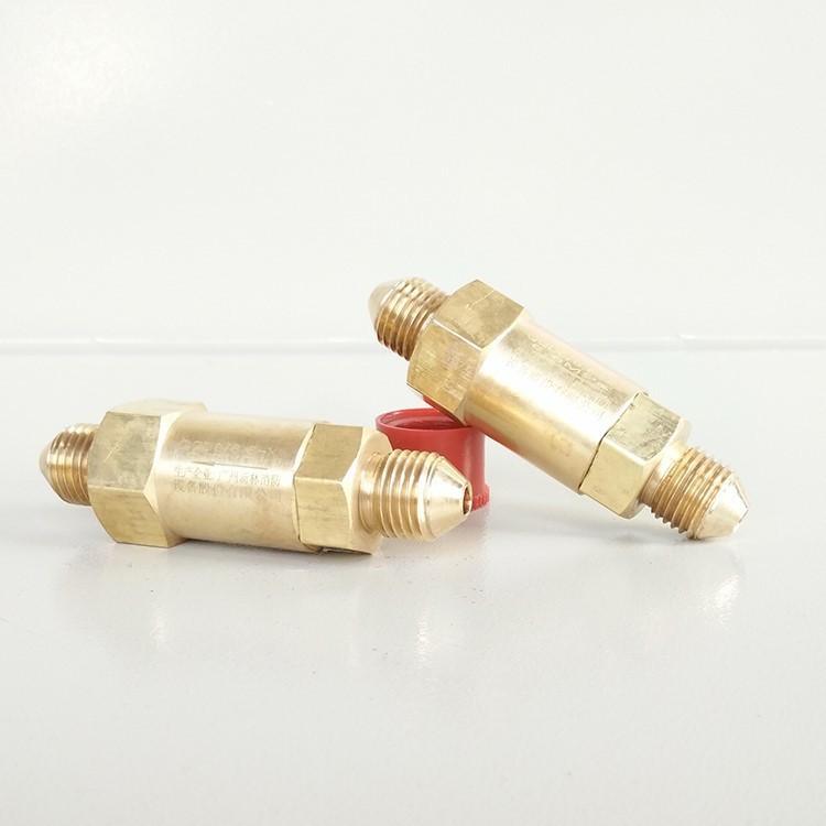 管网驱动气体管路单向阀