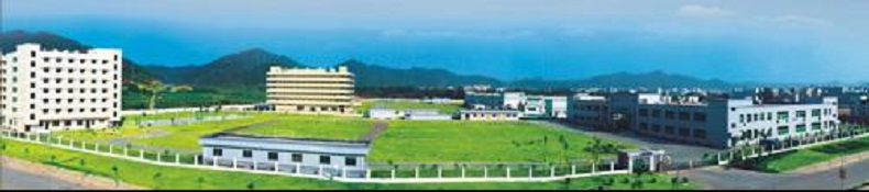蓝微电子有限公司